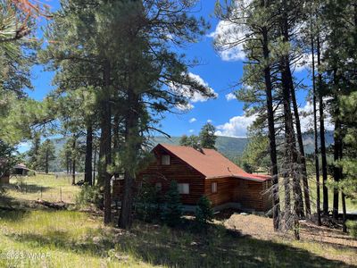 42488 Us Highway 180 Hwy #180, Alpine, AZ, 85920