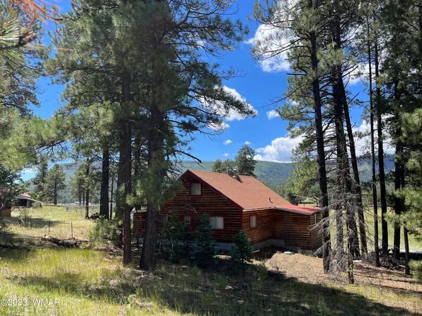 42488 Us Highway 180 Hwy #180, Alpine, AZ 85920