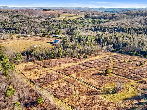 4th image of 143 Swift Rd