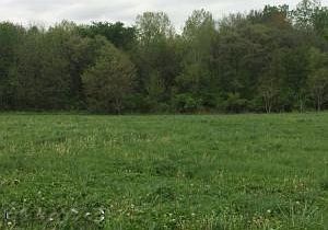 1st image of Saratoga Ln