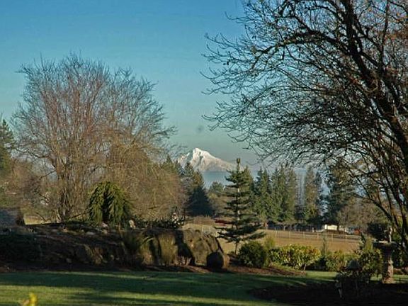 Mt Hood Views