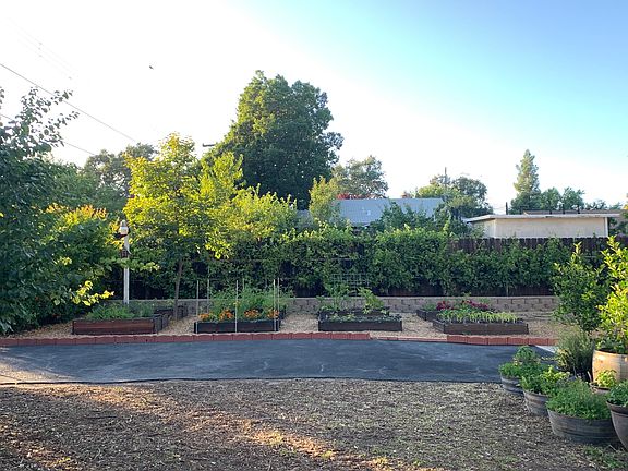 Great for dogs or pets