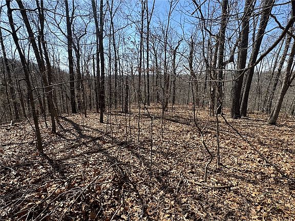 3rd image of Rochester Dr #1