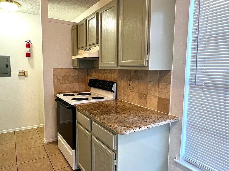 11763 Country Springs St — Photo 18