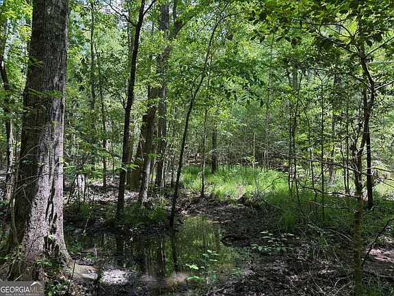4th image of 11 Long Branch Rd