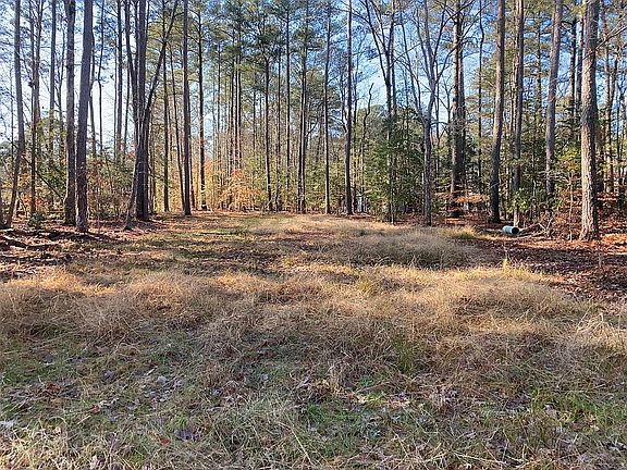 4th image of 7617 White Oak Dr
