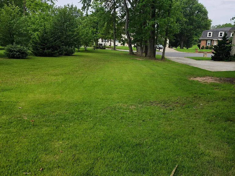 12504 McEwan Cir — Photo 16