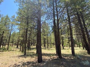 2476 Apache Dr, Happy Jack, AZ 86024