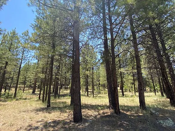 2476 Apache Dr, Happy Jack, AZ 86024