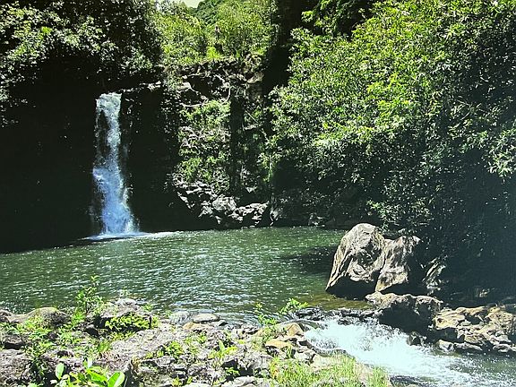 4th image of 32-122 Piha Kahuku Rd #4