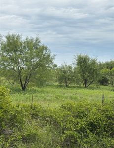 11701 County Road 366, May, TX, 76857