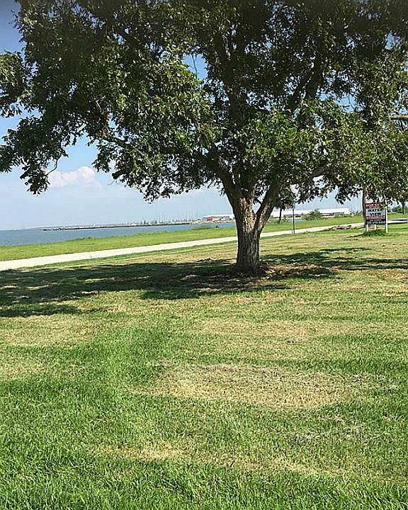 1st image of 3502 Miramar Dr