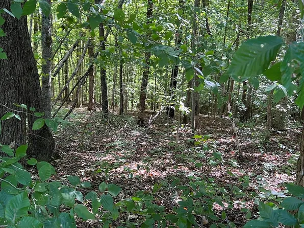 Cope Cemetery Rd, Monroe, TN 38573