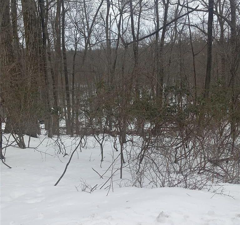 1st image of 81 Bear Cub Trl
