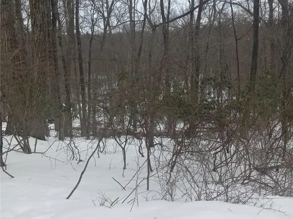 81 Bear Cub Trl, Scotrun, PA 18355