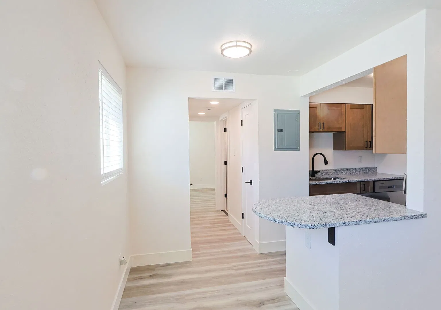 Fully Renovated 1 Bed in Tower Grove East: New Kitchen, New Heat & Air — Photo 3