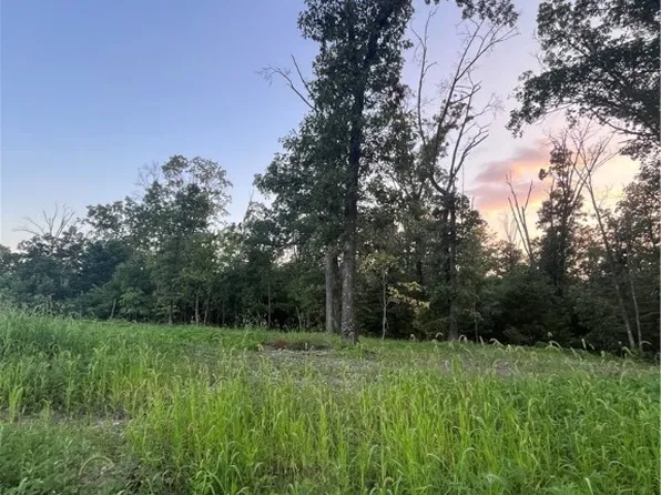 Coopers Rd, Pineville, MO 64856