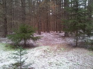 Mielke Rd, Hawks, MI 49743