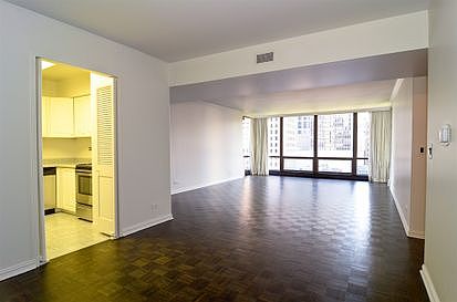 4th image of 100 E Bellevue Pl APT 10C
