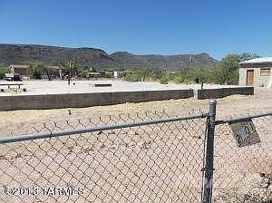 la cholla 008