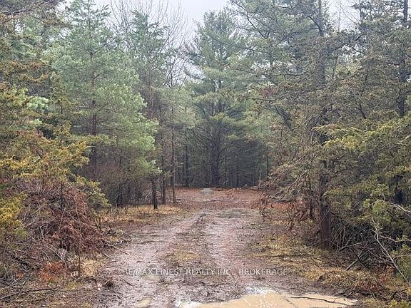 3rd image of 590 Love Rd