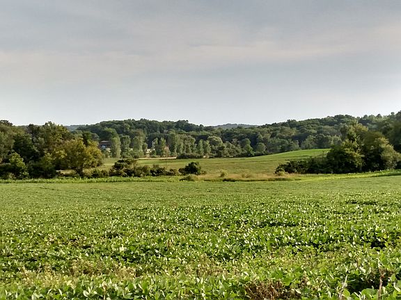 View to the south.