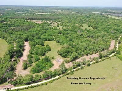 TRACT 3 County Road 295, Oakwood, TX, 75855