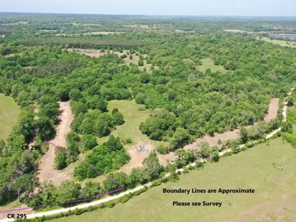 TRACT 3 County Road 295, Oakwood, TX 75855