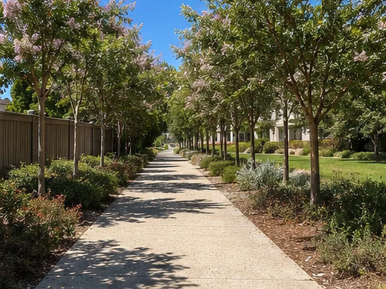 Tree-lined neighborhood path for walking and biking