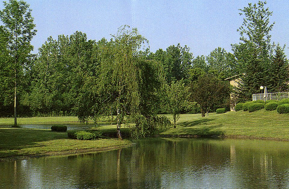 Landscape near Swimming Pool