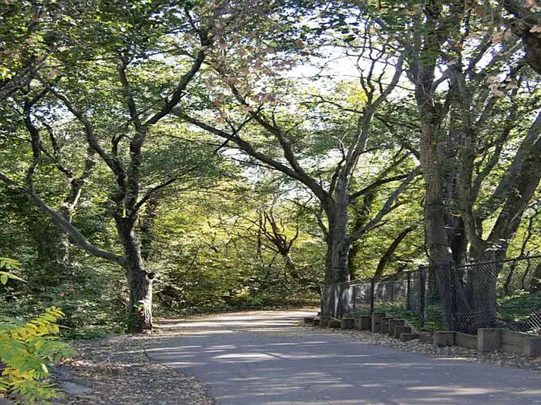 Napa River Trail Next to Property