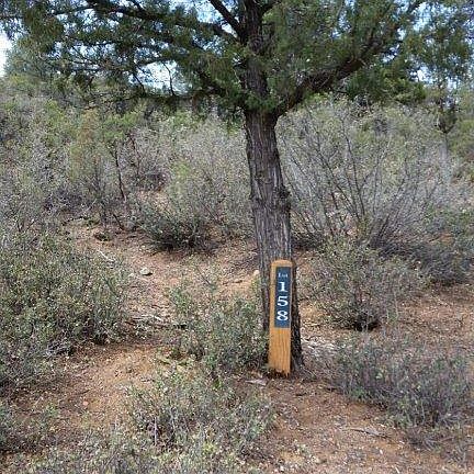 3rd image of 2503 E Scenic Dr