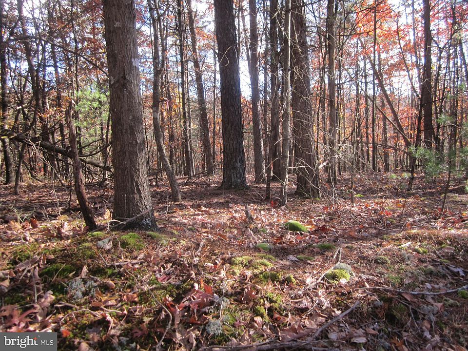 1st image of Cottonwood And Hemlock