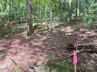 3 French Broad Overlook LOT 1, Arden, NC 28704