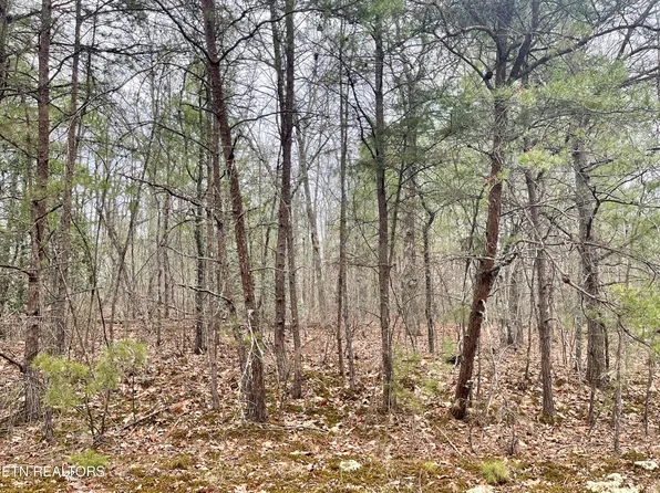 327 Bainbridge Rd, Fairfield Glade, TN 38558