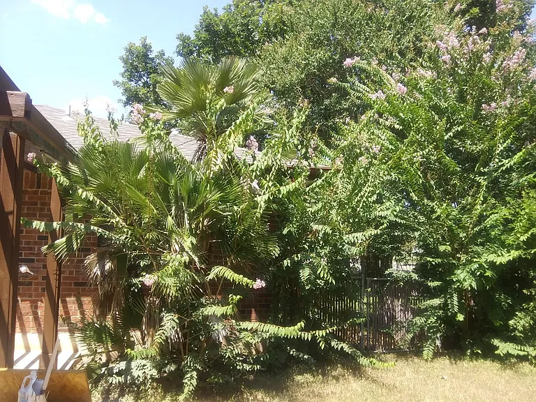 149 Guadalupe River Dr — Photo 21