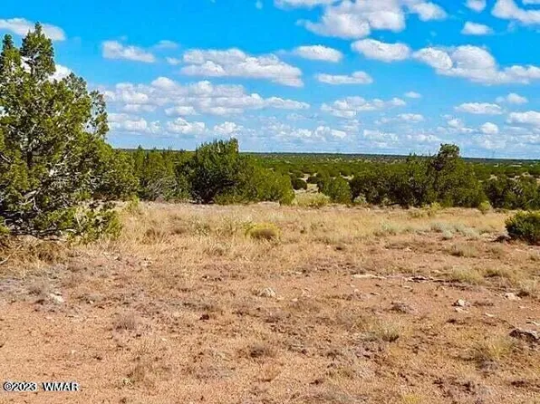 Sec 31 T15n #Nw4-sw4-r16e, Heber, AZ 85928