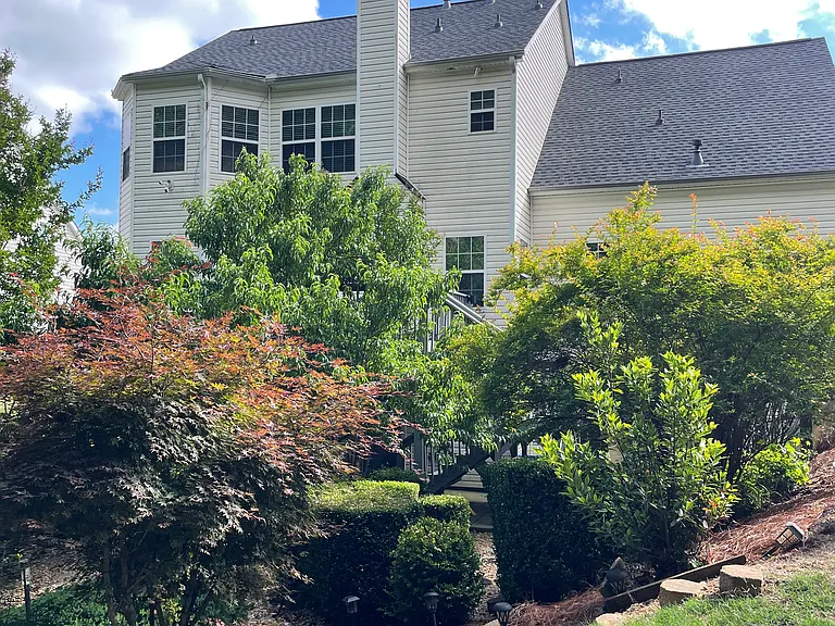 Back of the house