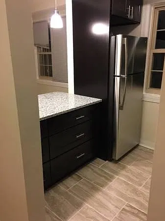 1 bed, 450 sqft, $1,475 — Photo 3