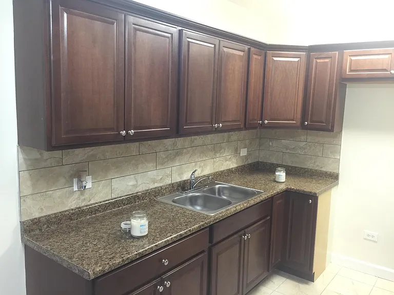 9121 S Laflin St #1N-9121-1N — Photo 53