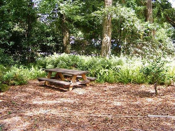 Picnic Area