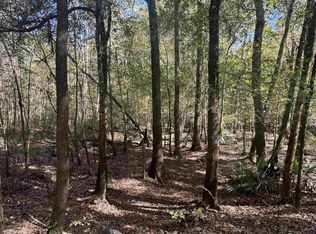 0 Sand Hammock Rd, Hawkinsville, GA 31036