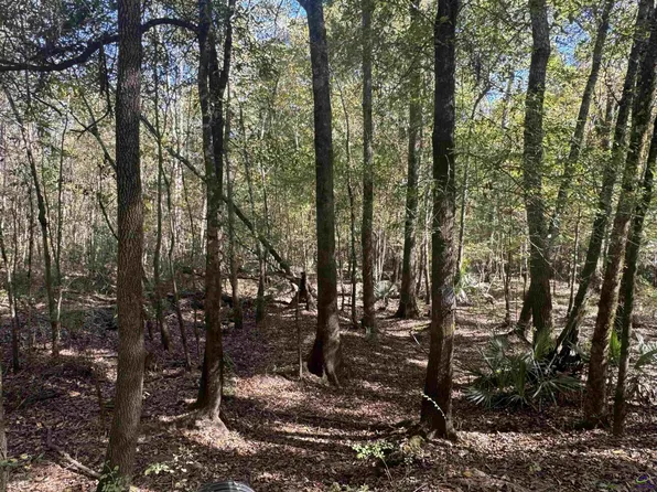 0 Sand Hammock Rd, Hawkinsville, GA 31036