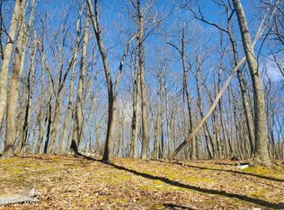 LOT-289R Beartrap Mountain Rd, Greentown, PA 18426
