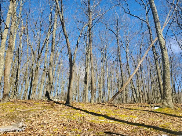 LOT-289R Beartrap Mountain Rd, Greentown, PA 18426