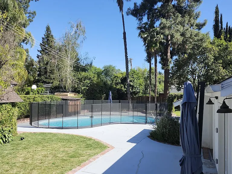 Part of Back Yard