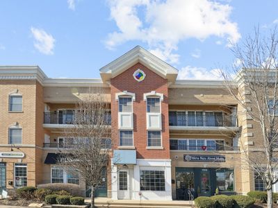 17212 Oak Park Ave Unit 3SW, Tinley Park, IL, 60477