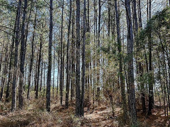 Compass South Land Sales Louisiana Robert Rawls 3