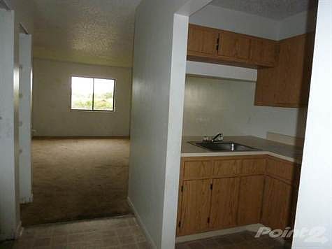 3rd image of 5020 Palm Hill Dr APT 120