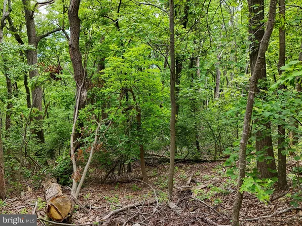 Lawyer Ln, Slanesville, WV 25444